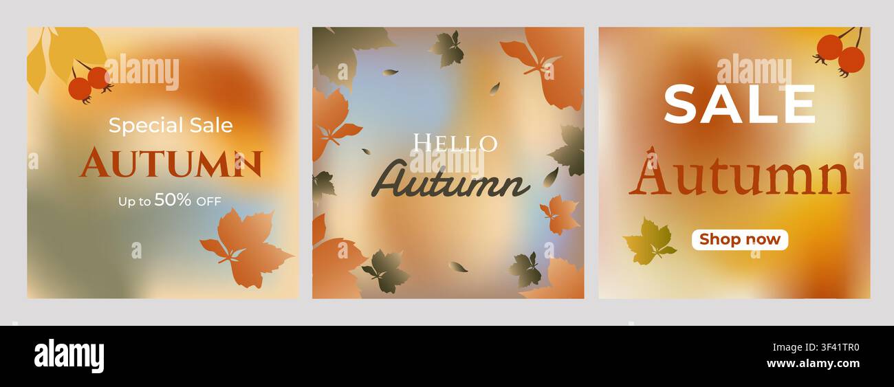 Set di modelli di volantini per le vendite autunnali con foglie, raccolta di banner per le vendite autunnali con foglie stagionali e sconti promozionali in decorazione Illustrazione Vettoriale