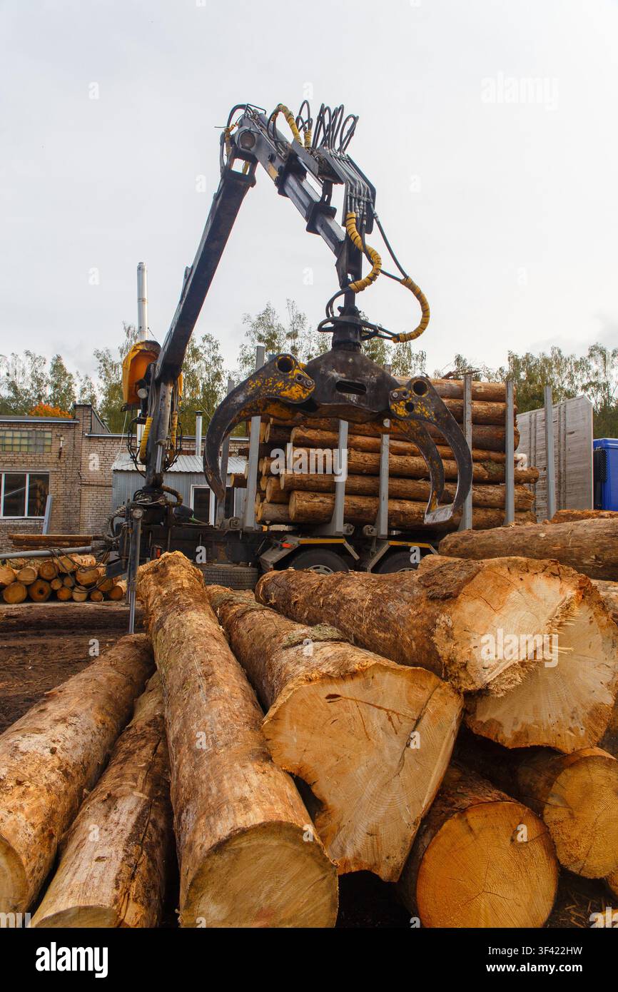 Una gru idraulica pesante con una pinza meccanica che solleva tronchi di legno su un camion in un deposito forestale con legno sparso e edifici industriali. Foto Stock