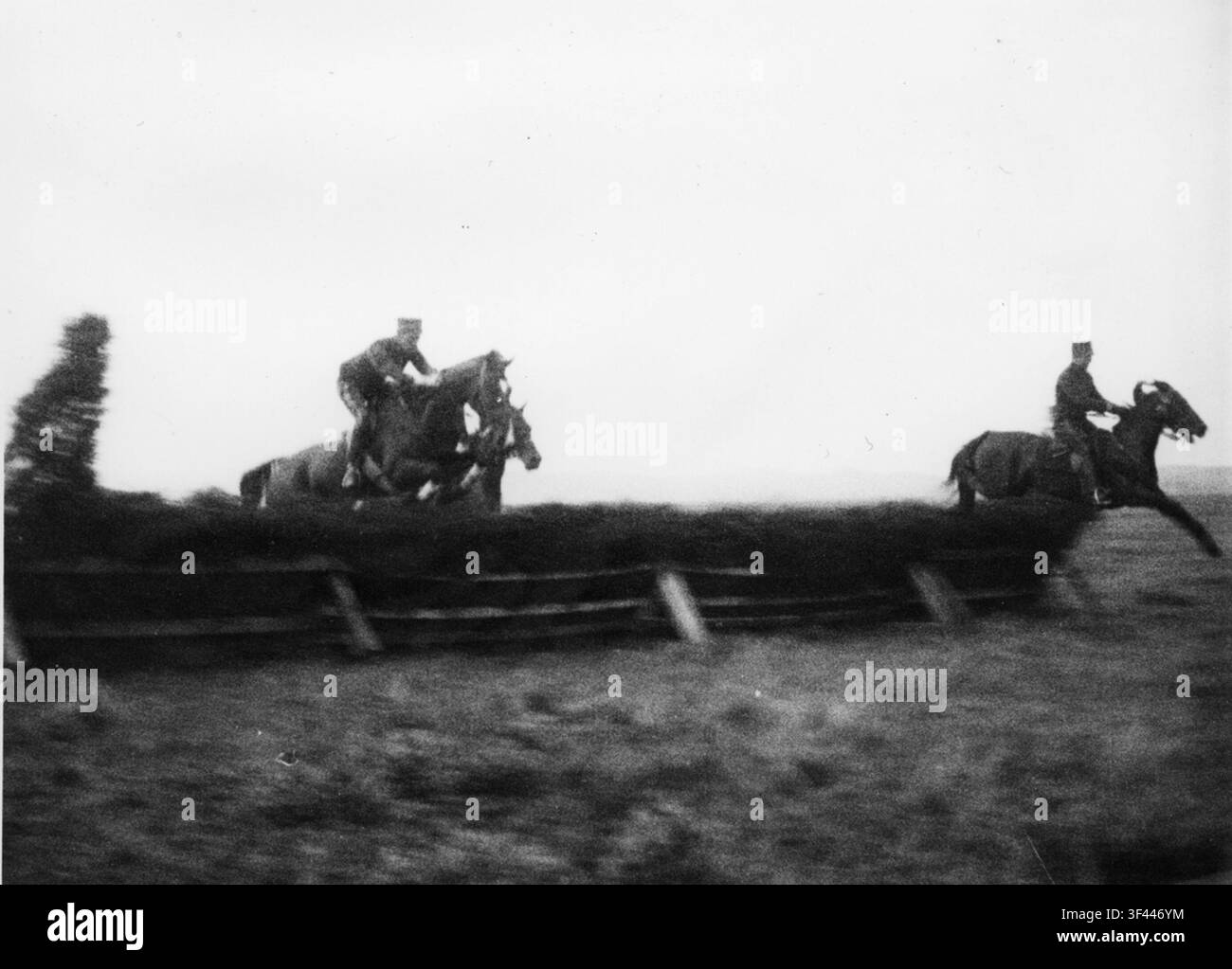 Hinderhoppning, o salto ostacoli, e Jaktritt, un tipo di caccia a cavallo, in un contesto equestre. Foto Stock