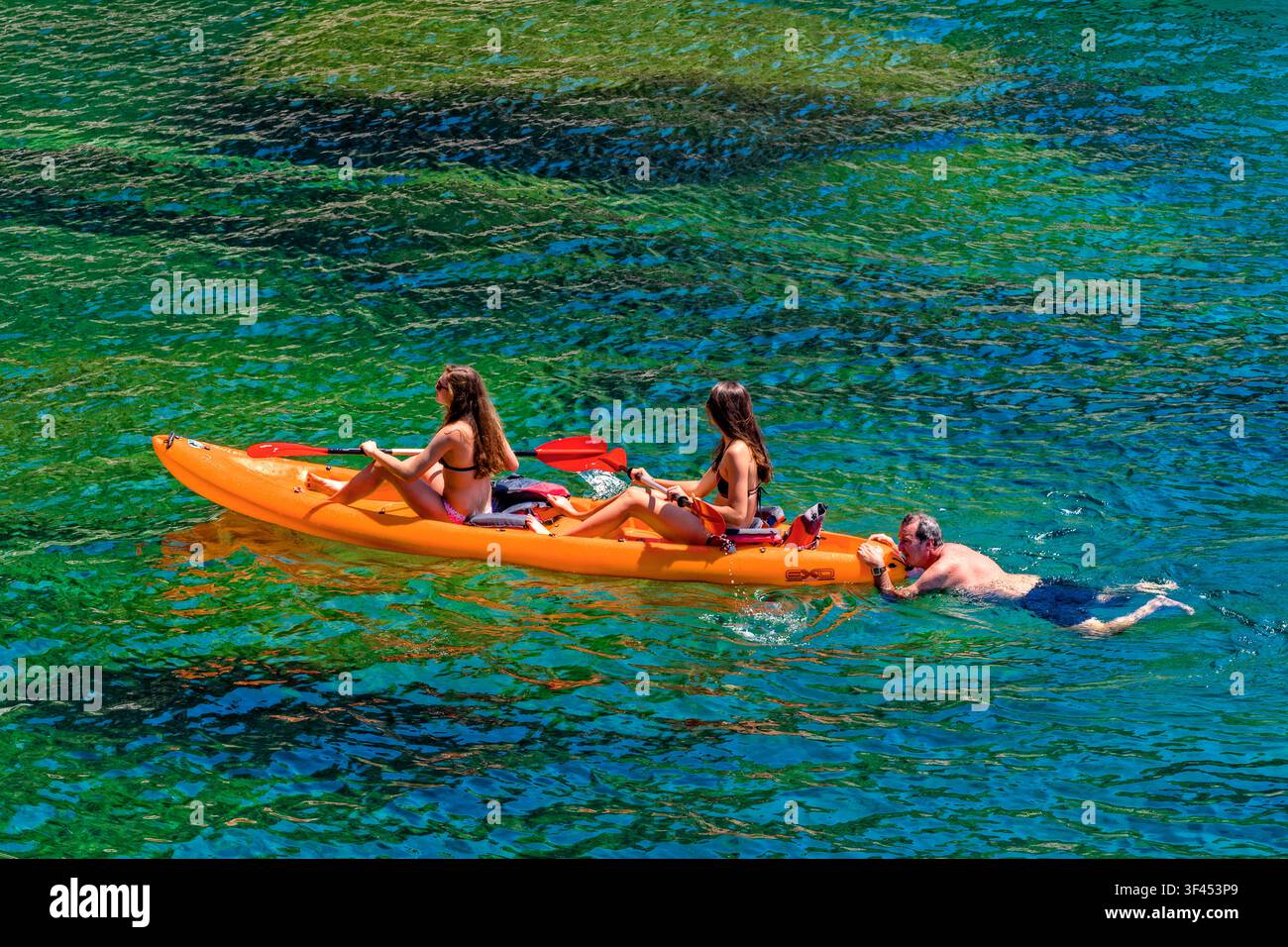 Italia Liguria 5 Terre Riomaggiore Sea Life Foto Stock