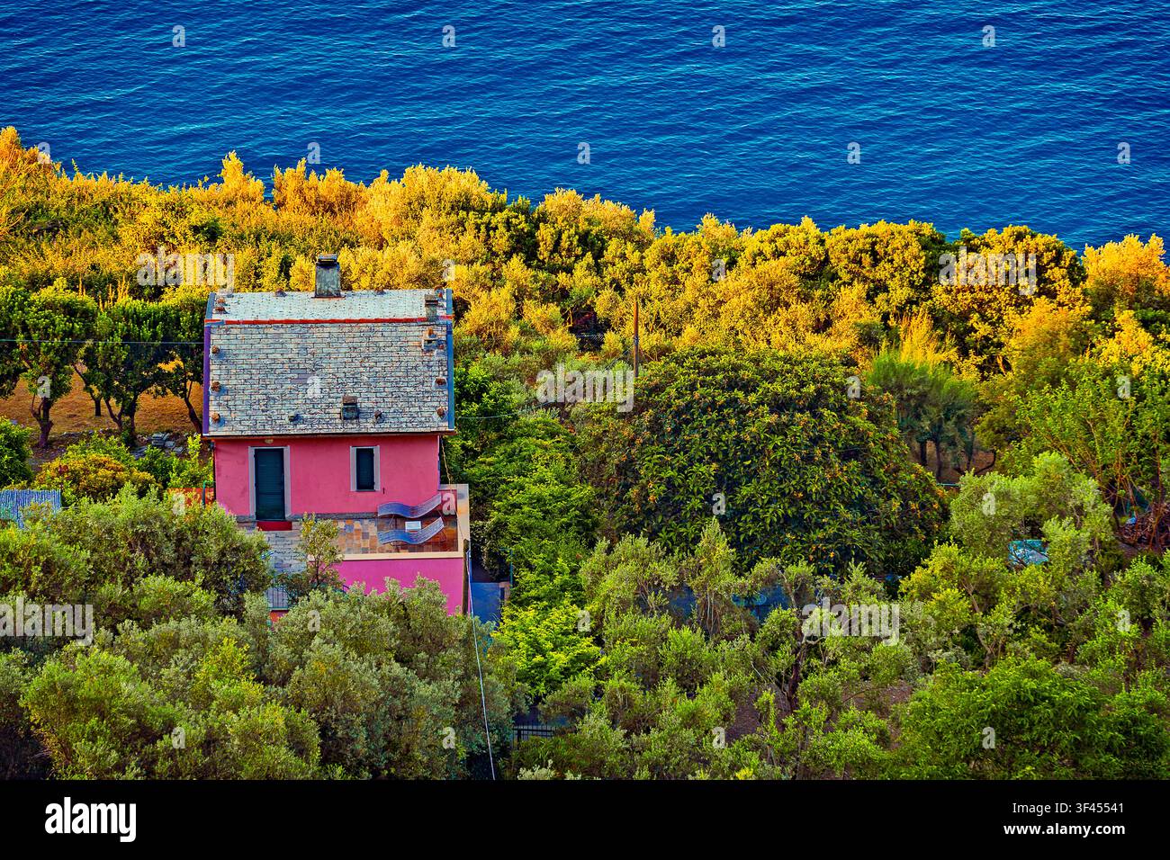 Italia Liguria 5 Terre Parco Nazionale - Corniglia - casa e verde Foto Stock