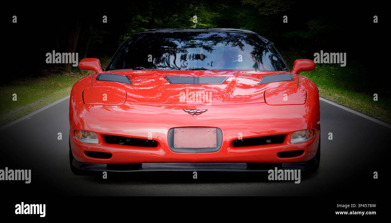 Una Chevrolet Corvette su una strada isolata nel bosco Foto Stock