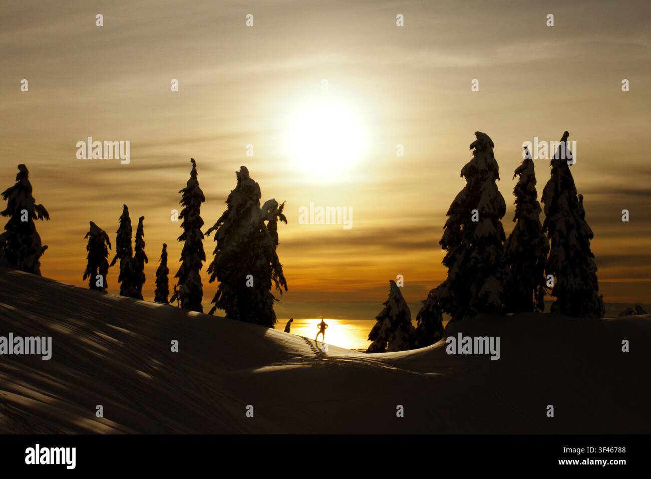 Sciatore di fondo osserva un bellissimo tramonto invernale Foto Stock