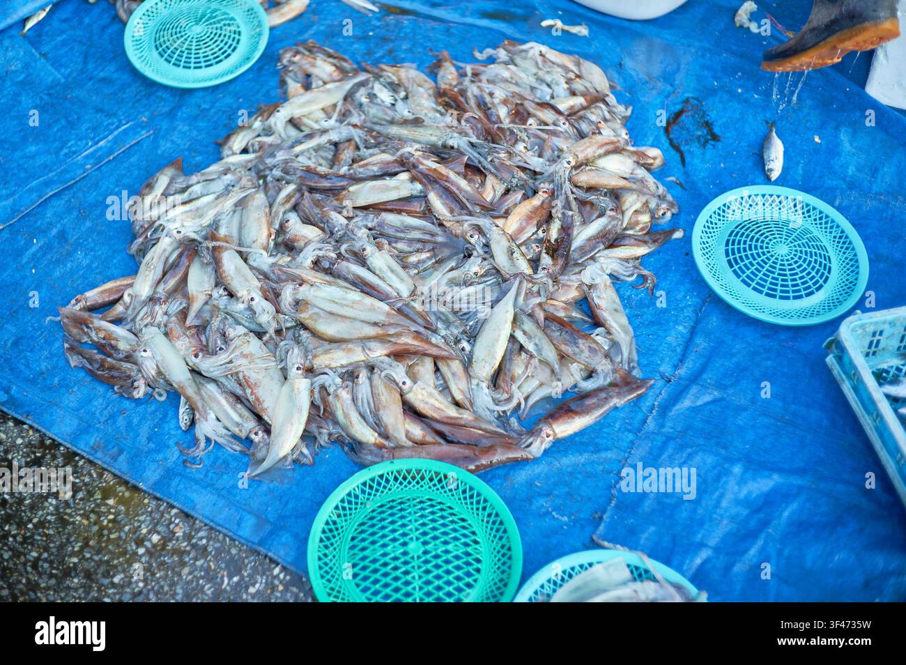 in un mercato di frutti di mare sudcoreano al mattino presto, circondato da cesti di plastica verdi, evidenziando la vita del mercato locale e i frutti di mare freschi. Foto Stock