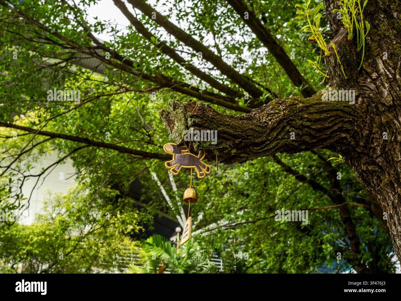 Carillon a vento animale capriccioso appeso a un ramo muschioso Foto Stock