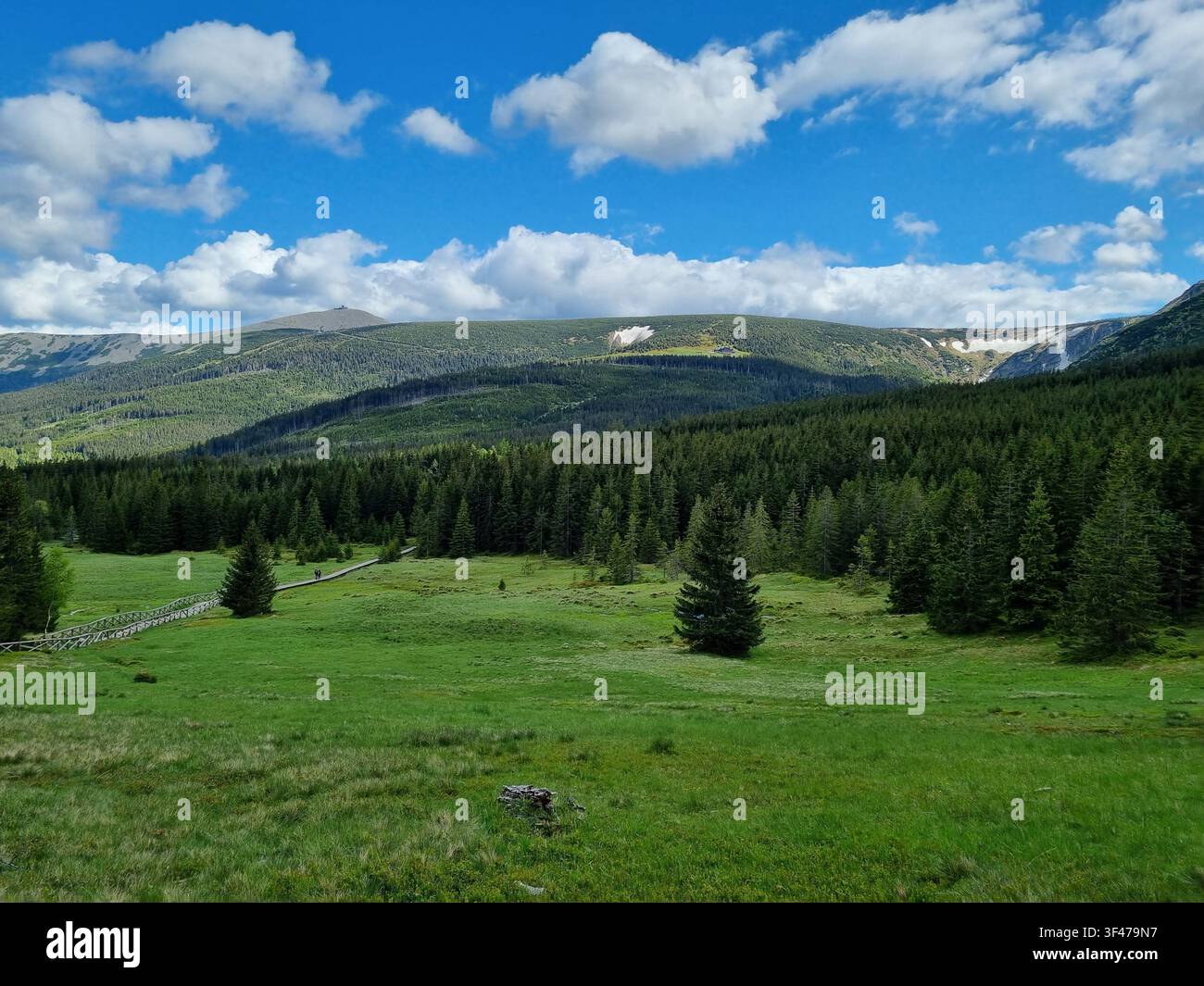 Passeggiata di legno che attraversa una prateria montana verde sotto la foresta di abeti e il picco Sniezka con neve tardiva, Parco Nazionale di Karkonosze, Sudeti, Polonia - Immagine stock catturata con smartphone