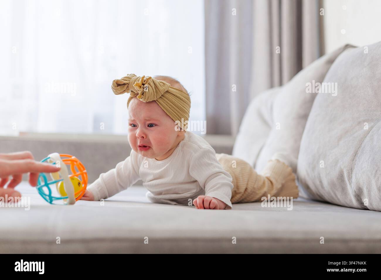 Foto Foto Stock