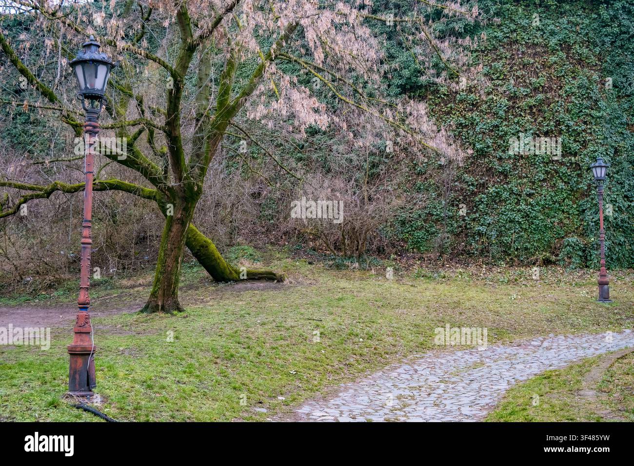 Una scena serena del parco con un albero coperto di muschio, un lampione vintage e un sentiero di ghiaia sinuoso circondato da una vegetazione lussureggiante. Foto Stock