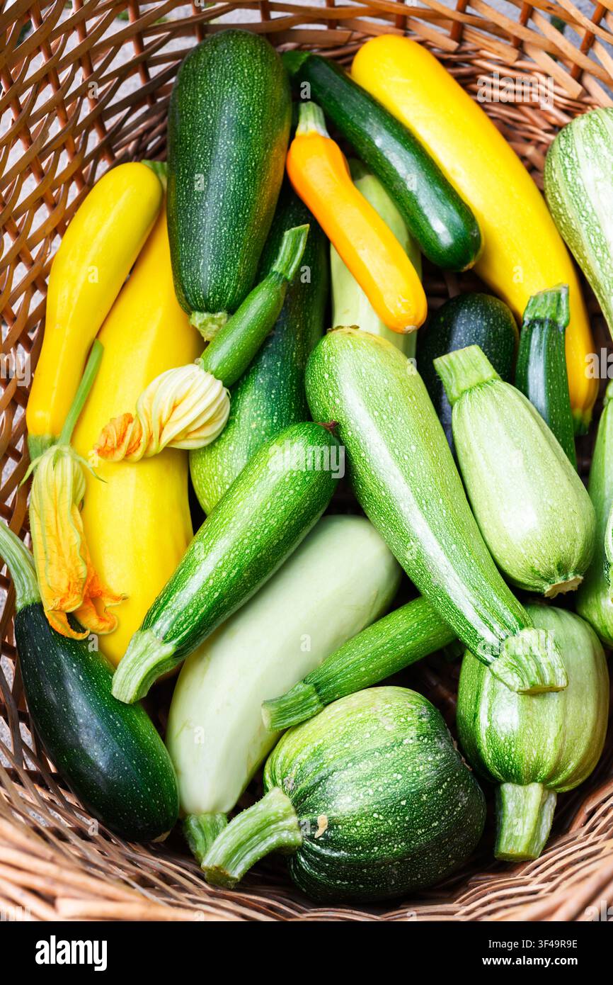 Cesto ripieno di zucchine assortite, verdure biologiche fresche, concetto di raccolto agricolo. Vista dall'alto di zucchine verdi e gialle, texture naturale, prodotto sano Foto Stock
