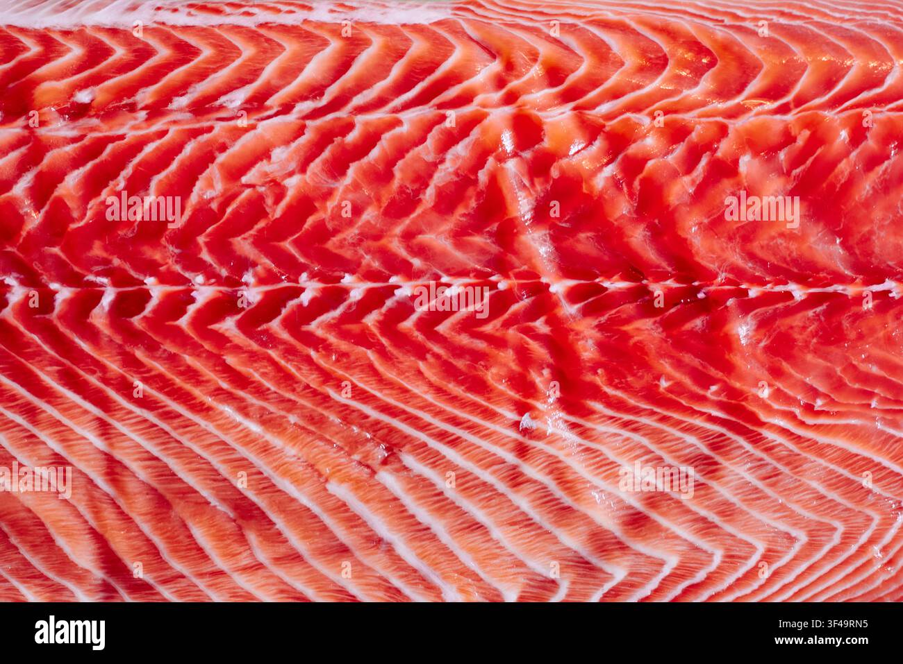 Texture della carne di filetto di salmone crudo che mostra fibre muscolari naturali e linee di grasso bianco Foto Stock