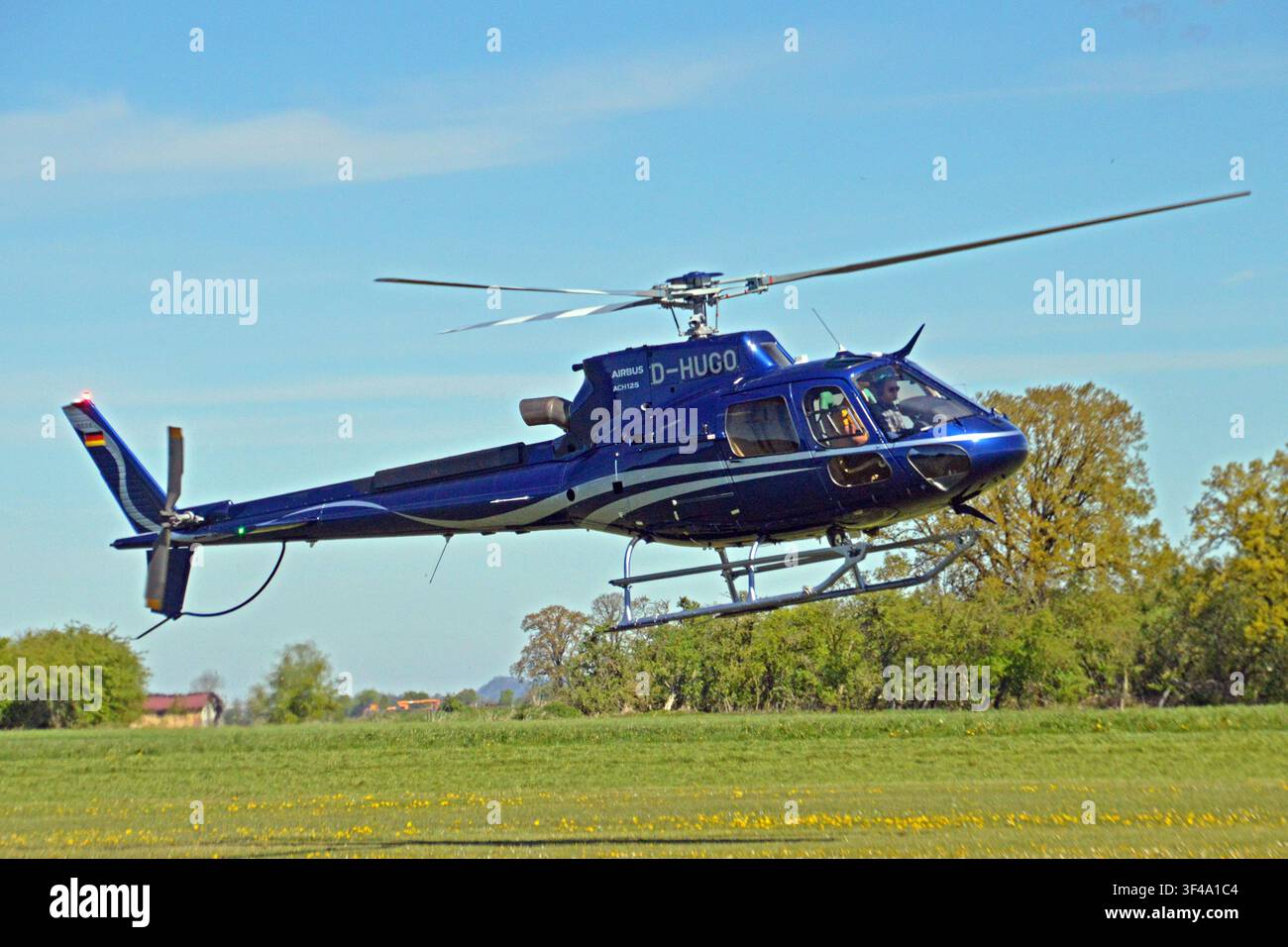 Germania, Baden-Württemberg, Tannheim: D-HUGO Airbus Helicopters H.125 Ecureuil (c/n 8938) di Helijet Charters GmbH Foto Stock