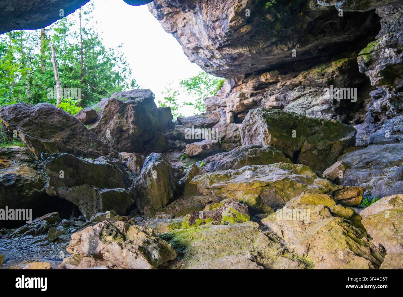 Isola dei Vasi di Fiori, Canada – 8 luglio 2026: Un sentiero boschivo rigoglioso e verdeggiante si snoda attraverso formazioni rocciose di calcare coperte di muschio e alberi illuminati dal sole su Fl Foto Stock