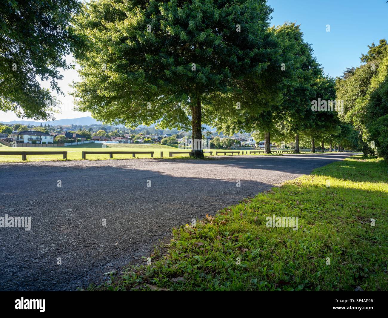 strada, sfondo auto, piastra posteriore automobilistica, tranquilla strada di campagna in ambiente parco fiancheggiata da alberi verdi Foto Stock