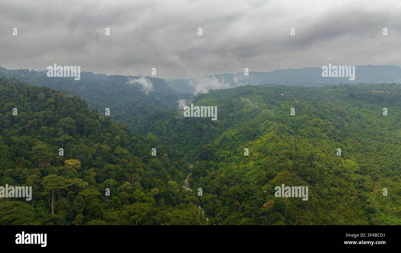 Dronare aerea di un paesaggio tropicale con montagne e giungla a Sumatra, Indonesia. Foto Stock