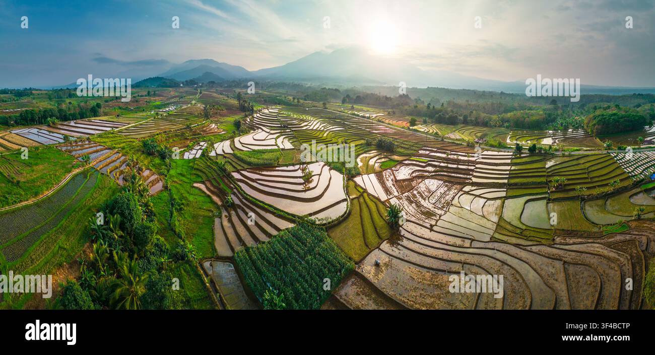 Vista aerea di rigogliose terrazze di riso verdi che riflettono la luce dorata del sole nel paesaggio rurale di Pariaman, Sumatra Occidentale, Indonesia. Foto Stock