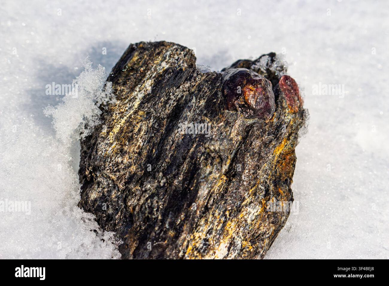 Cristallo di almandino vibrante incastonato in scisto mica grezzo, in netto contrasto con la neve bianca immacolata. Un tesoro geologico naturale. Kite Foto Stock