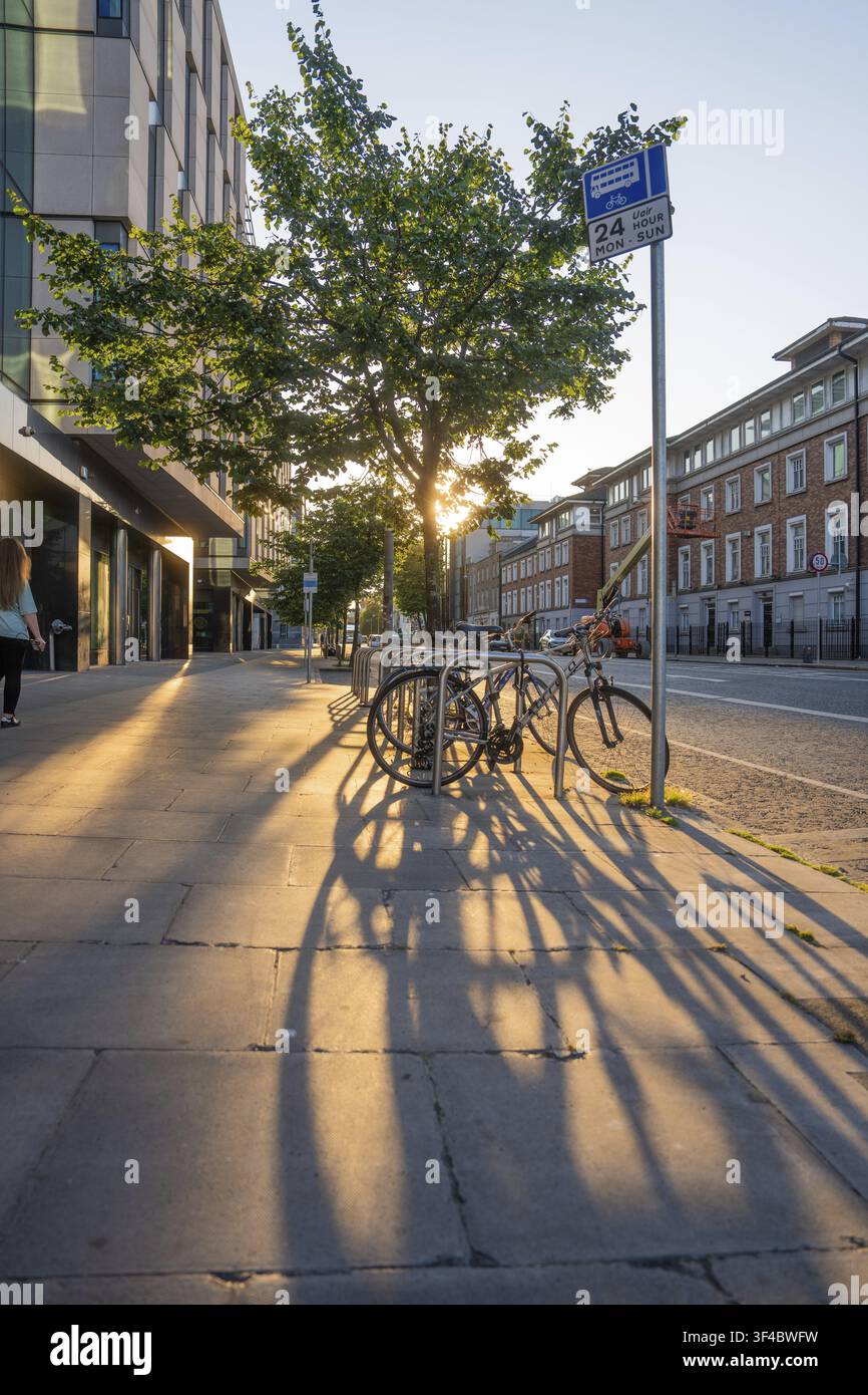 Le biciclette proiettano lunghe ombre su una tranquilla strada urbana nella luce dorata della sera, Dublino, Irlanda Foto Stock