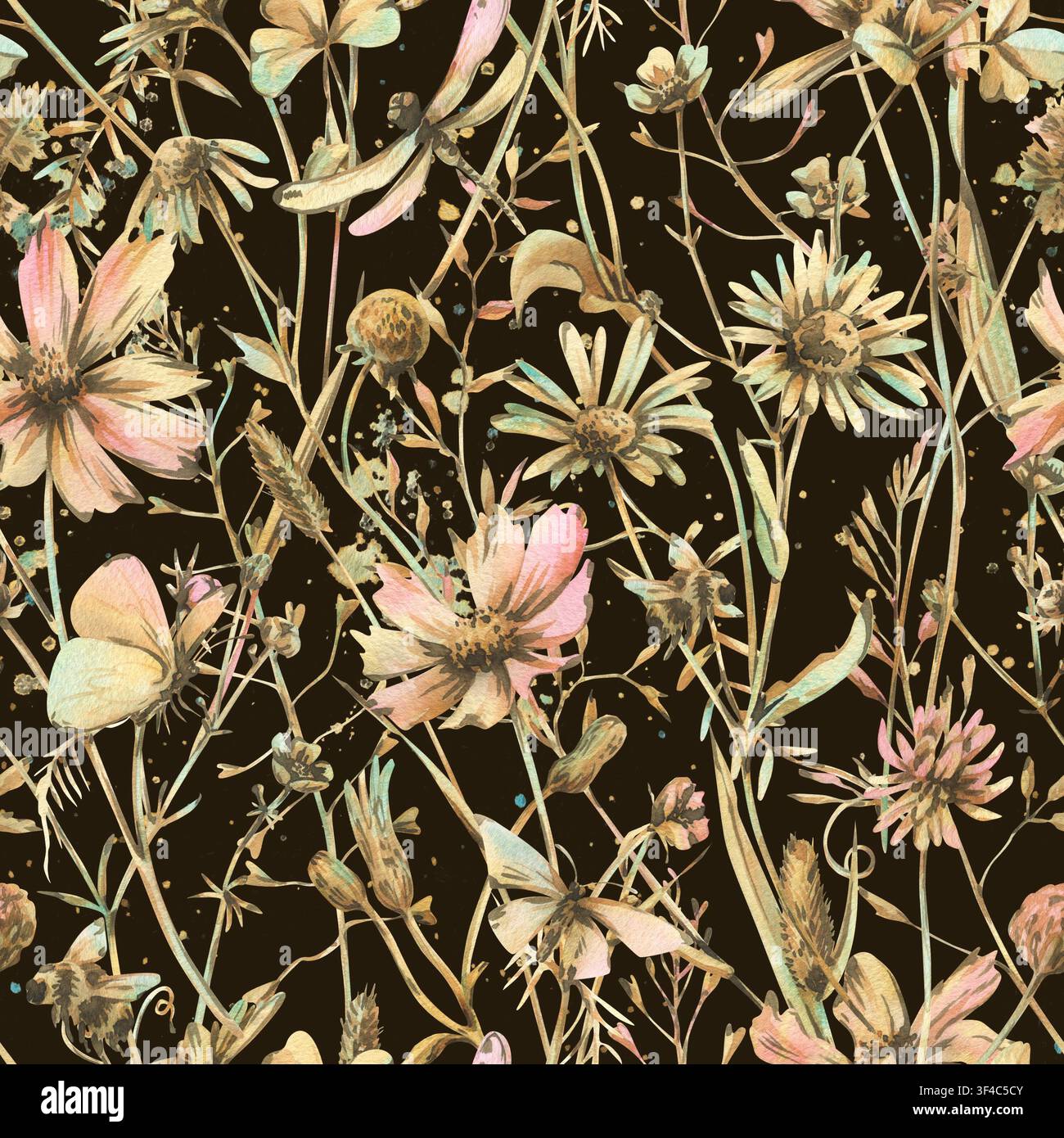 Modello senza cuciture di fiori di prato selvatico ed erbe aromatiche in tonalità pastello su sfondo nero. Illustrazione botanica acquerellata disegnata a mano di un campo rustico Foto Stock