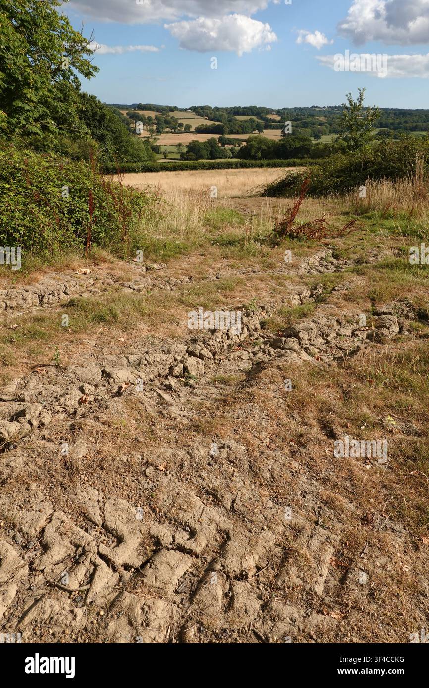 Terra cotta e secca durante un'estate calda e asciutta con il paesaggio di High Weald sullo sfondo, Burwash, East Sussex, Inghilterra, Regno Unito, Europa Foto Stock