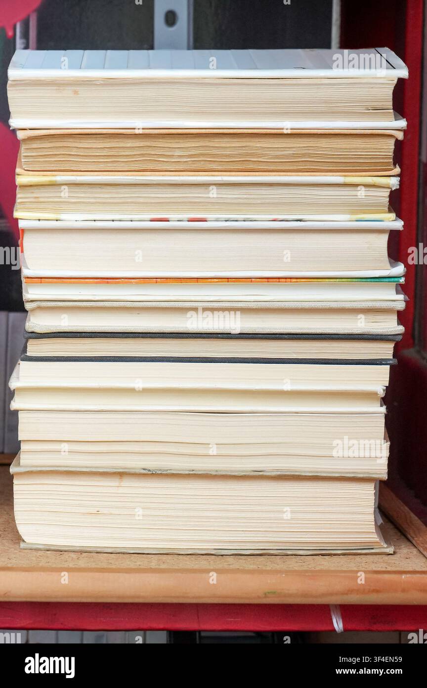 Pile di libri su uno scaffale in una libreria, messa a fuoco selettiva Foto Stock
