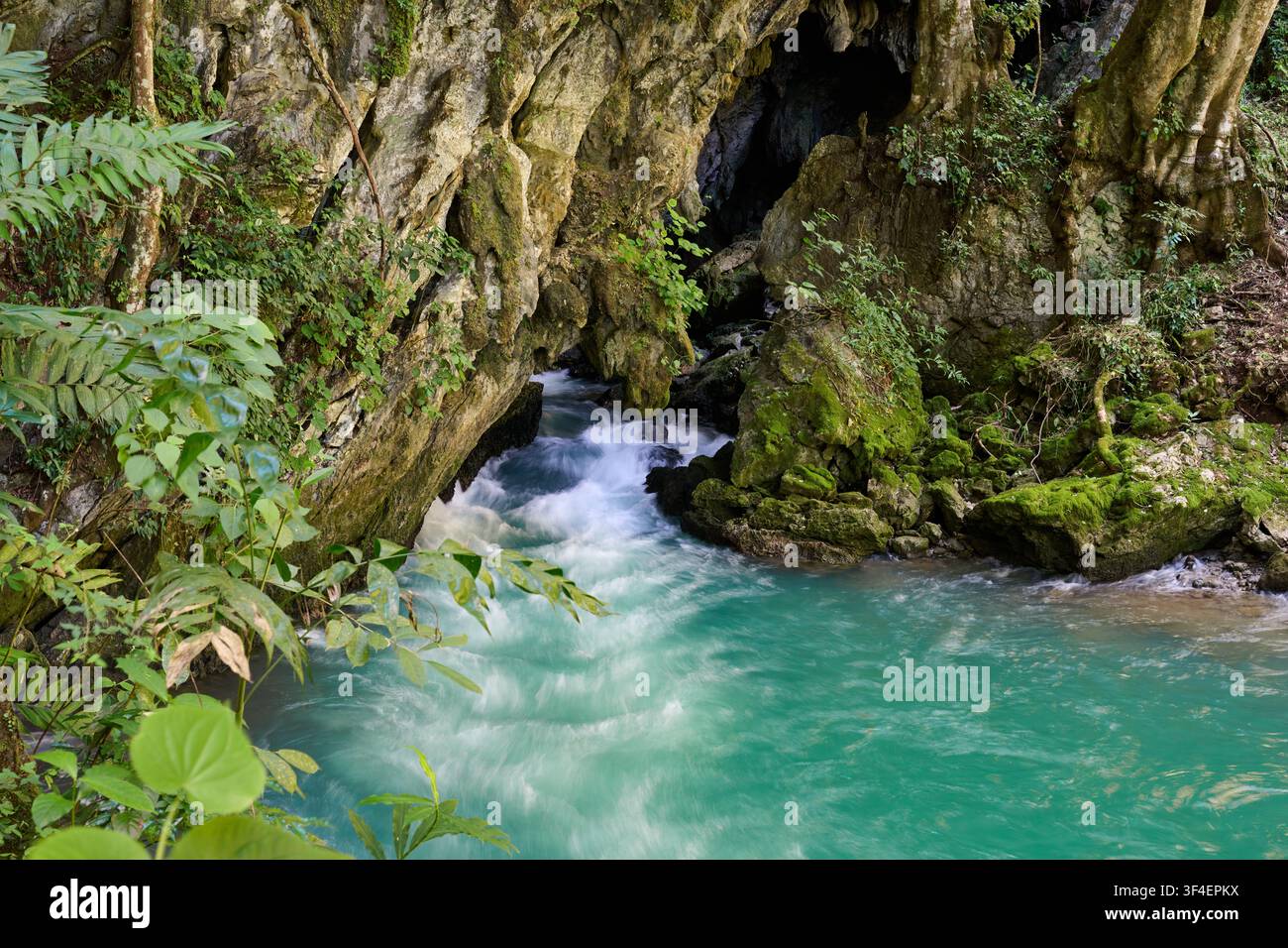 Il fiume fuoriesce dalla grotta di stalattiti di Lanquin, Guatelmala, America centrale Foto Stock