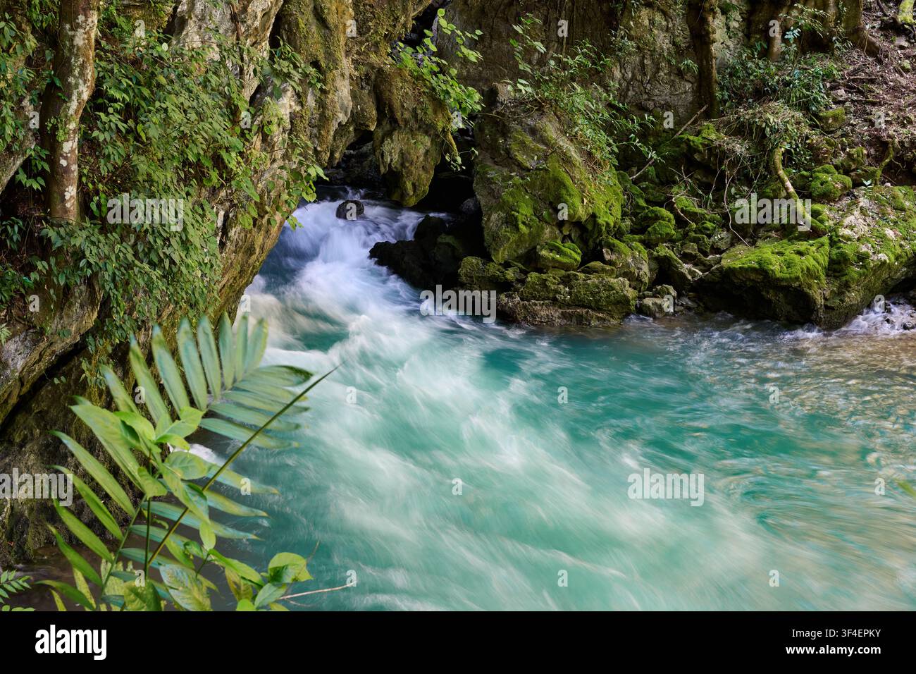 Il fiume fuoriesce dalla grotta di stalattiti di Lanquin, Guatelmala, America centrale Foto Stock