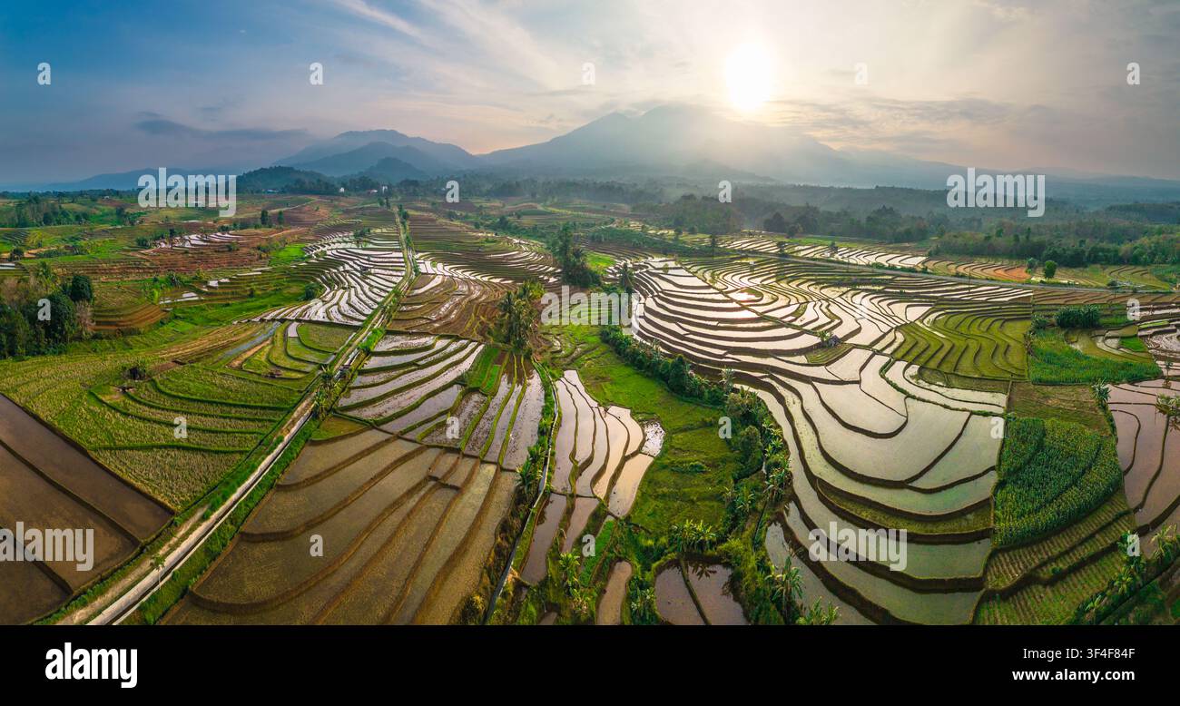 Vista aerea di rigogliosi campi di riso terrazzati verde che riflettono la luce dorata del tramonto con montagne sullo sfondo a Pariaman, Sumatra Occidentale, Indonesia Foto Stock