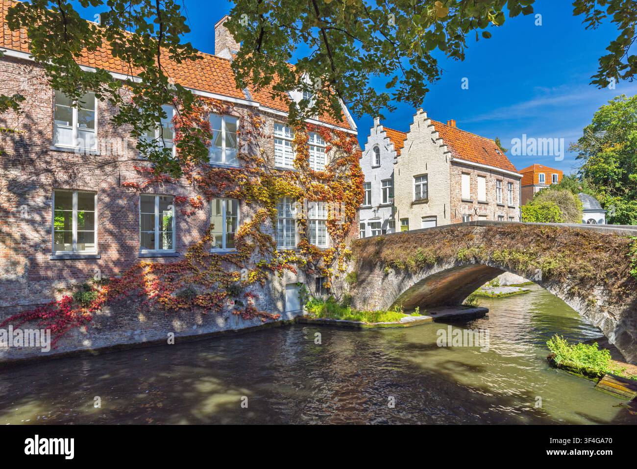 Città di Bruges in Belgio, Europa. Affascinante architettura sul lungofiume con edera rigogliosa e ponte di pietra che si riflette nell'acqua serena del canale in una giornata luminosa e soleggiata Foto Stock