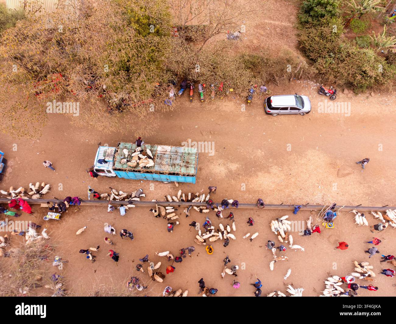 Vista aerea del mercato animale di Kimana con persone che commerciano bestiame e capre vicino a un camion e un'auto parcheggiata a Kimana, contea di Kajiado, Kenya. Foto Stock