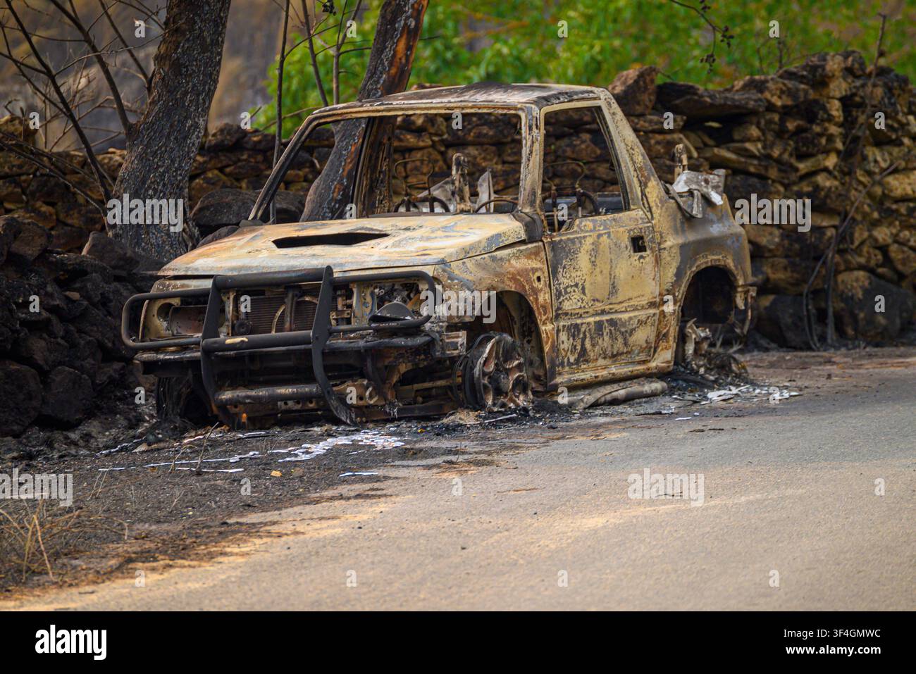 Resti carbonizzati di un SUV abbandonato dopo un incendio boschivo su una strada rurale Foto Stock