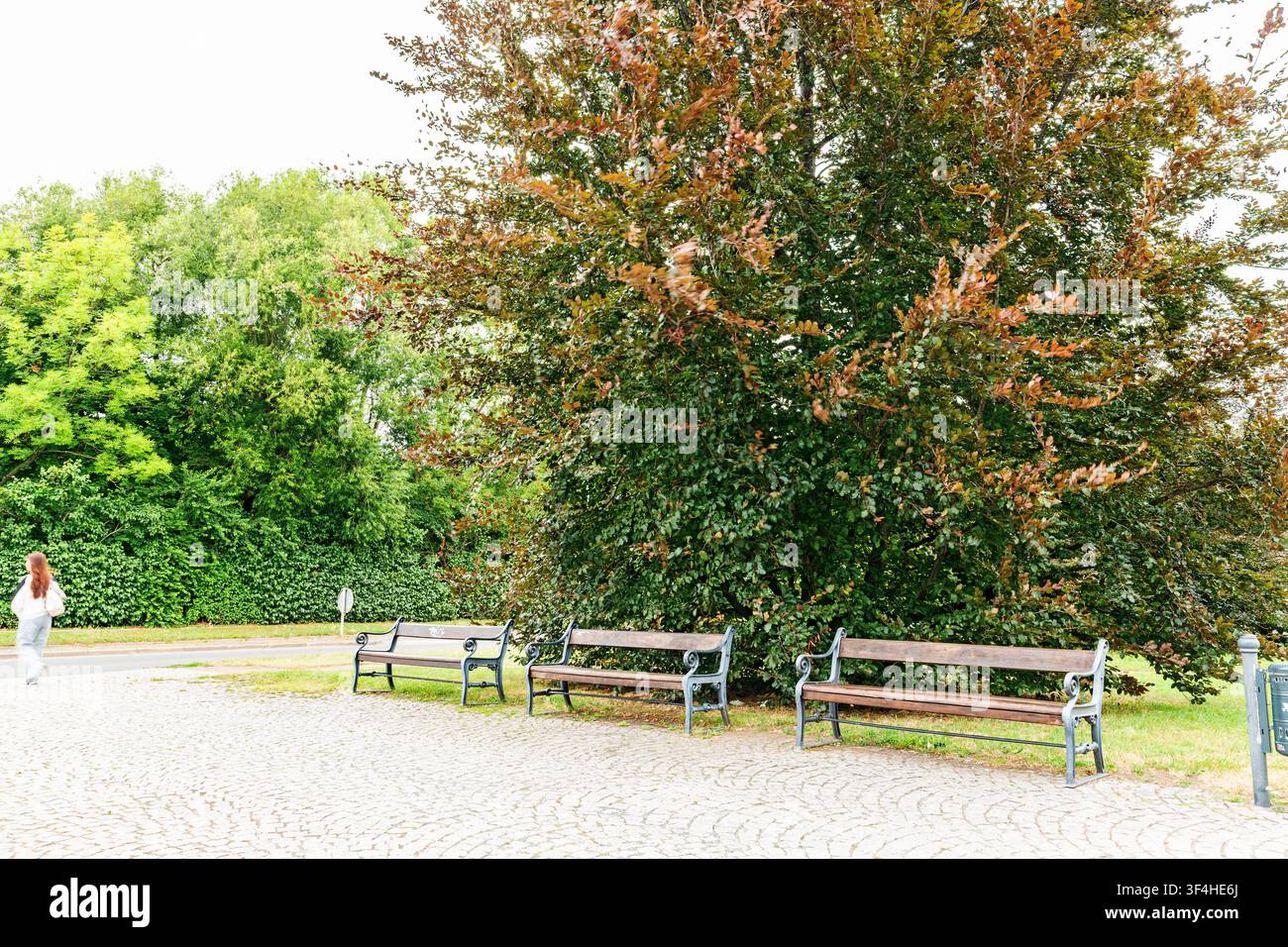 23 luglio 2026, Quedlinburg, Sassonia-Anhalt, Germania: panchine sotto alberi maturi sul piazzale della stazione offrono un'area di seduta pubblica ombreggiata. Foto Stock