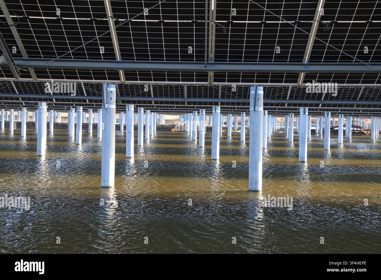L'immagine mostra una vista dal basso di una centrale solare galleggiante, con pilastri di cemento ordinatamente disposti che sostengono i pannelli solari sopra. Sotto si trova r Foto Stock