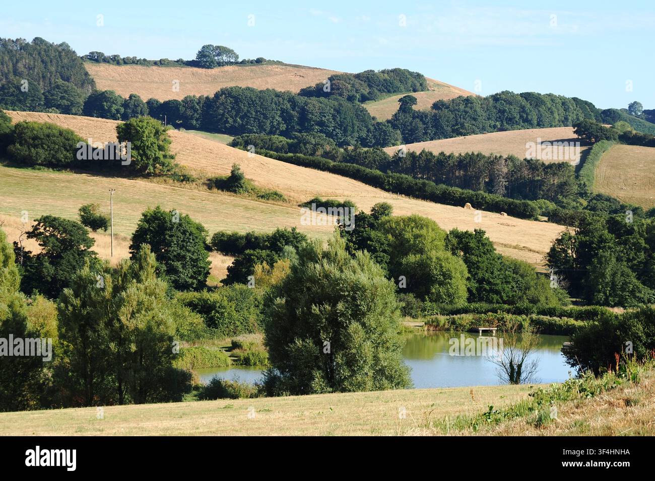 Terreno agricolo bruciato nel west Dorset durante le ondate di caldo estive del 2026. Foto Stock