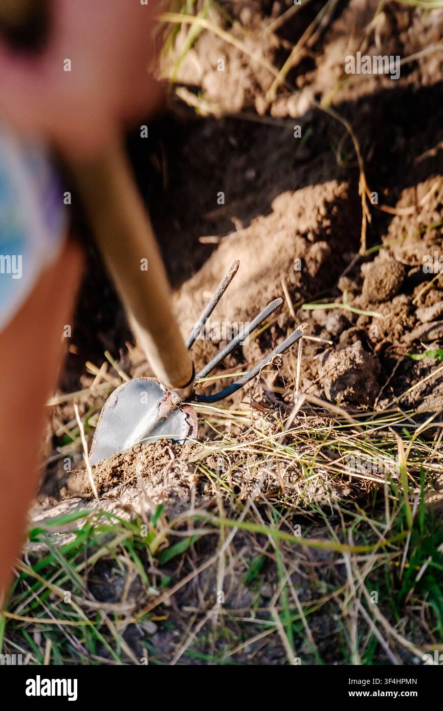 Attrezzo manuale coltivatore che allenta il terreno secco e la terra nel giardino Foto Stock