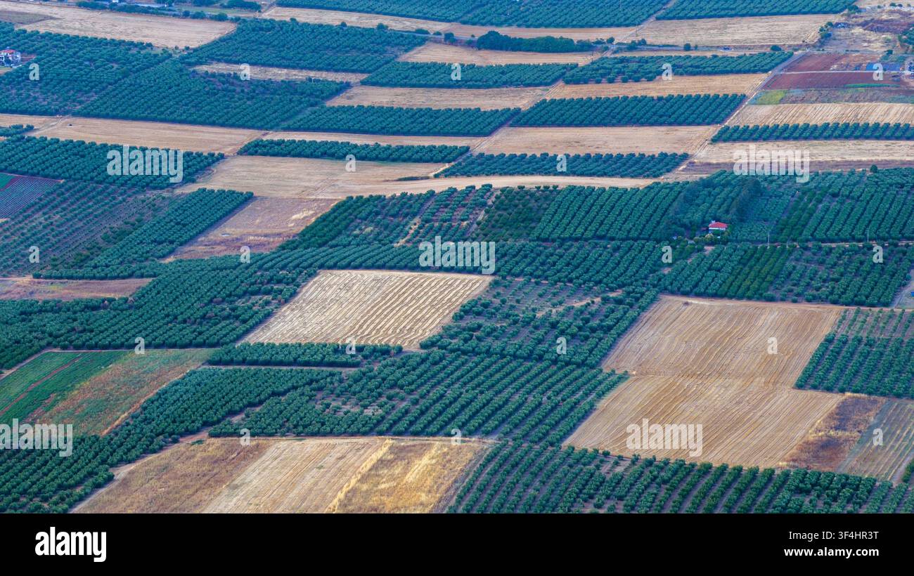 Una vista aerea ad angolo alto mostra file ordinate di frutteti verdi e parcelle raccolte che formano un patchwork di terreno agricolo coltivato vicino a Nea Moudania, Grecia. Foto Stock