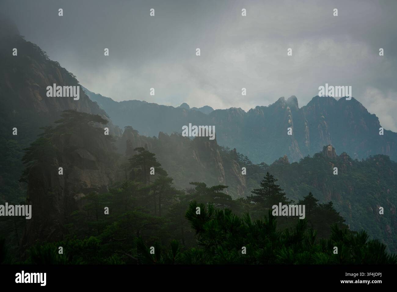 Rugosi picchi rocciosi grigio scuro di varie altezze si ergono in un cielo grigio nuvoloso chiaro, parzialmente oscurati dalla nebbia. Pini Pinus hwangshanensis verde scuro Foto Stock