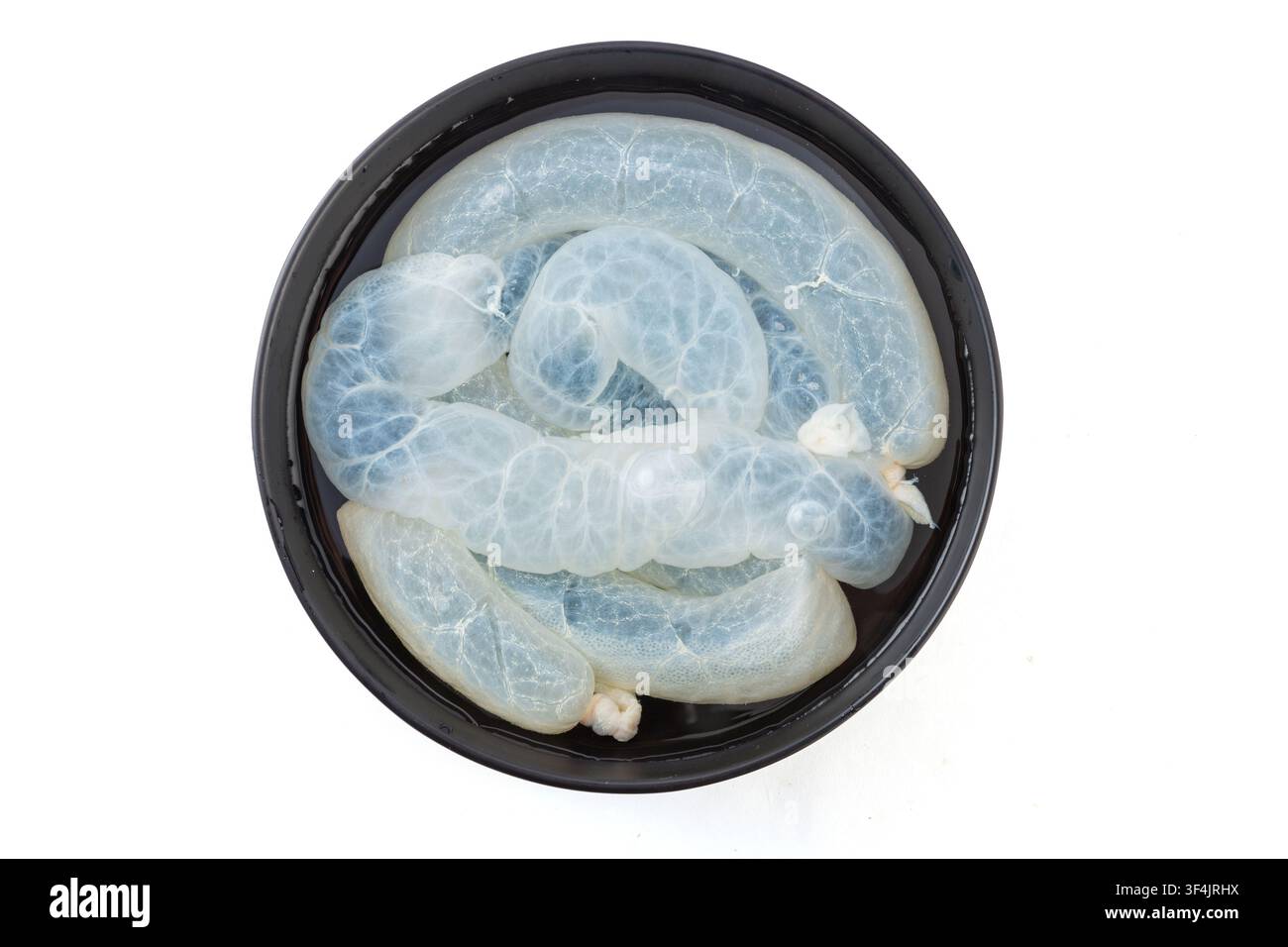 Involucri di salsiccia salati naturali pelle di intestino di maiale essiccata ingrediente alimentare Foto Stock