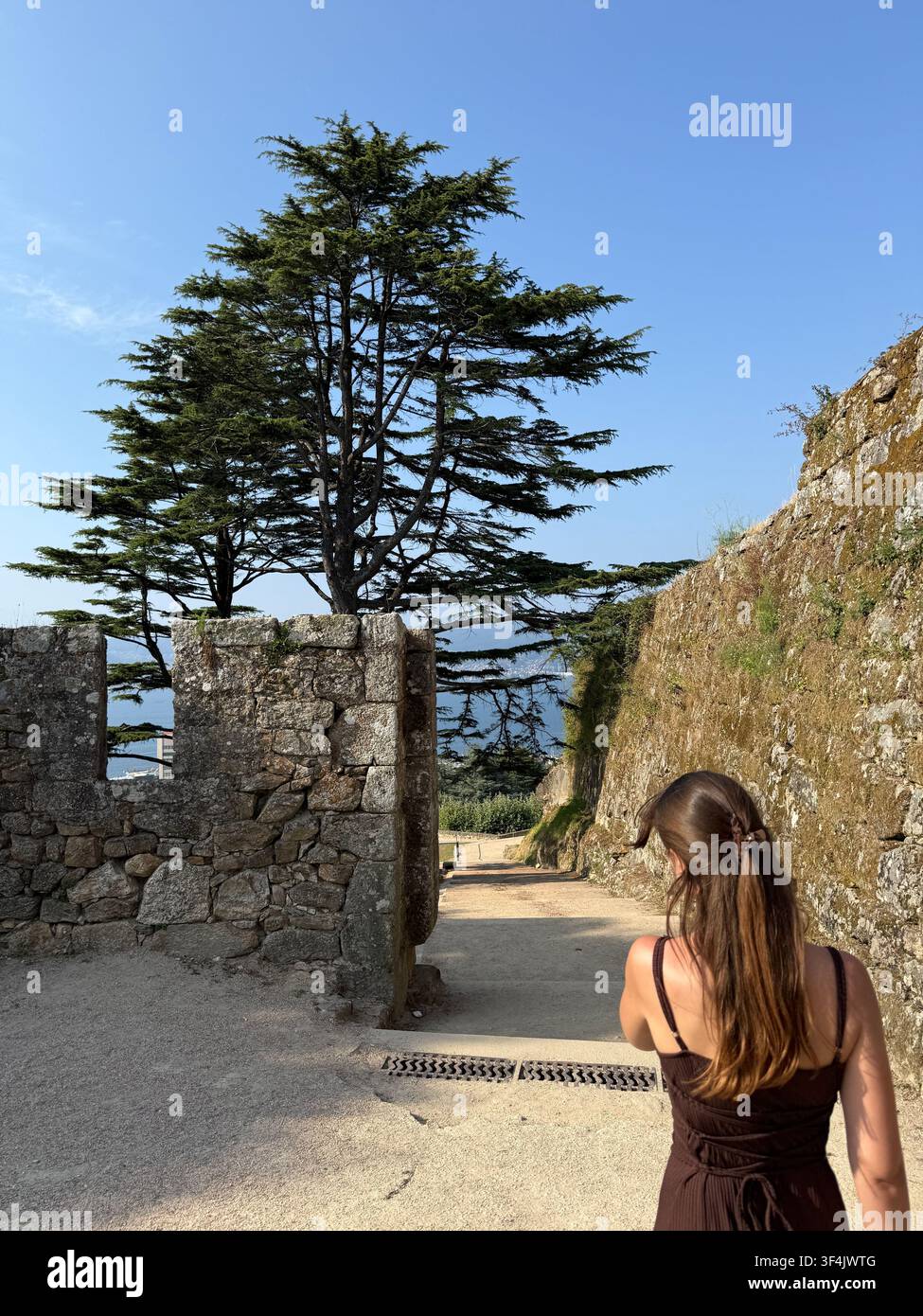 Giovane donna che cammina accanto a mura di pietra storiche e a un albero di cedro alla Fortezza di Castro a Vigo, Galizia, Spagna - Immagine stock catturata con smartphone