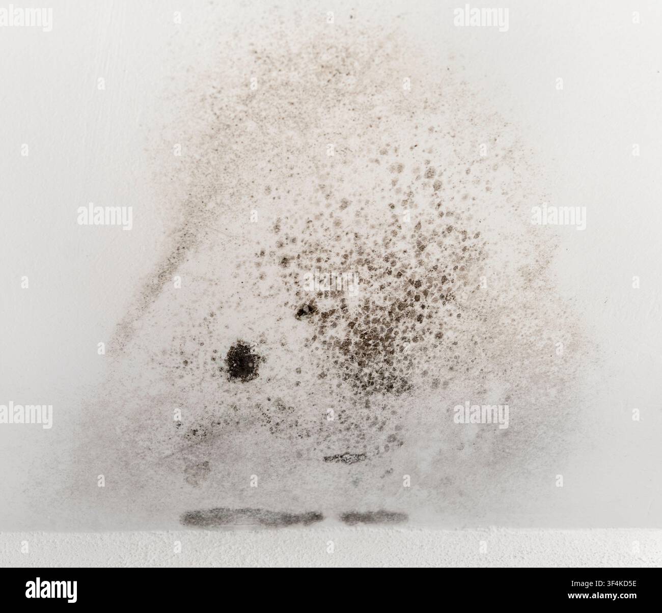 Primo piano di un angolo interno con macchie di muffa nera Foto Stock