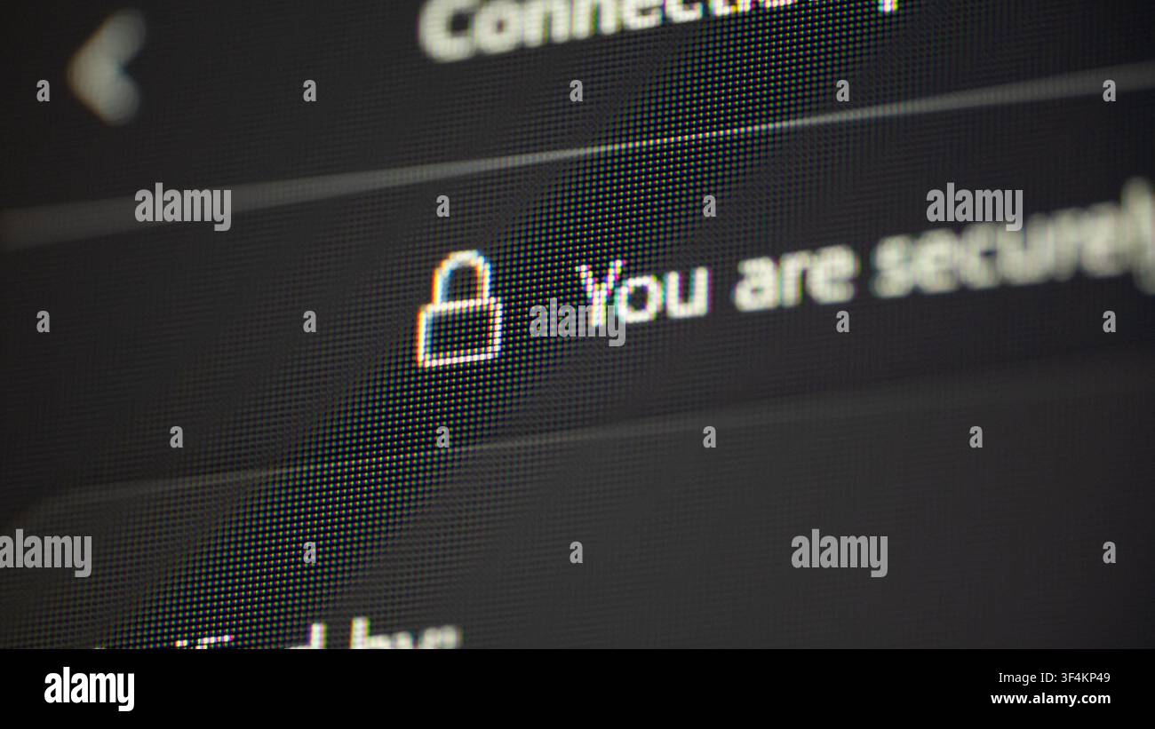 Schermo digitale che mostra un'icona di lucchetto che indica una connessione sicura al sito web Foto Stock