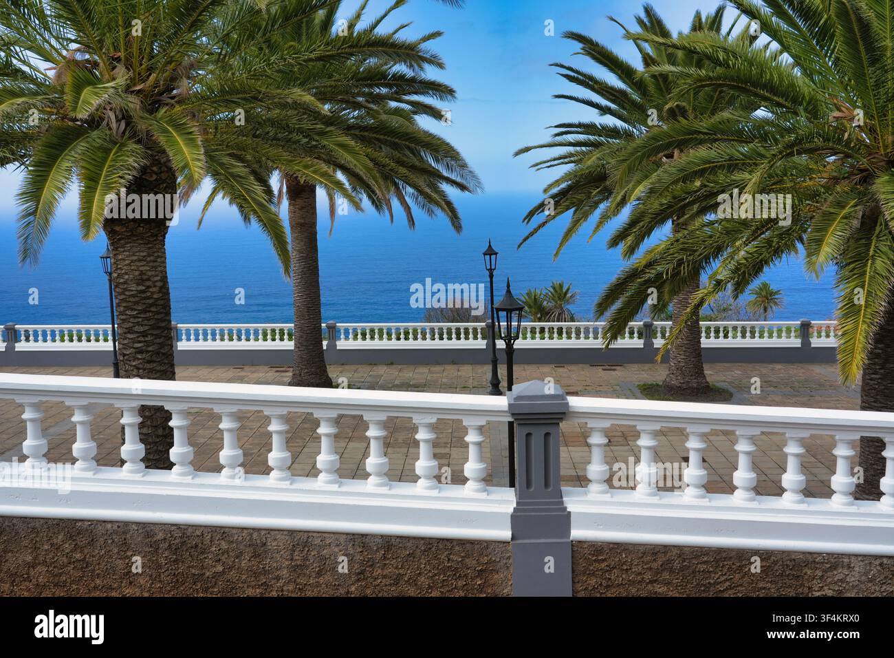 Una terrazza fiancheggiata da palme con vista sull'Oceano Atlantico Foto Stock
