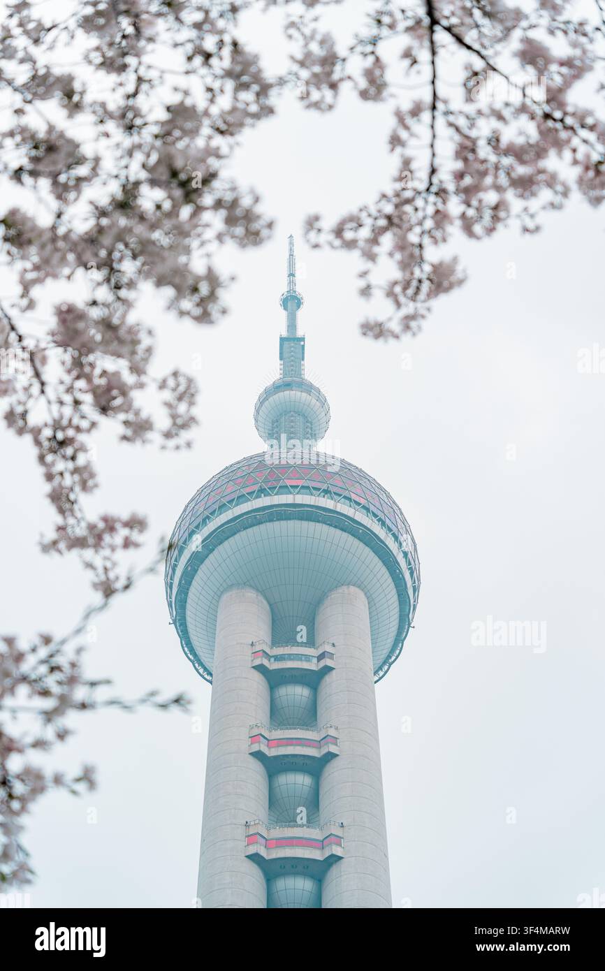 Spilla della torre Oriental Pearl incorniciata da rami di fiori di ciliegio, Lujiazui, Shanghai Foto Stock