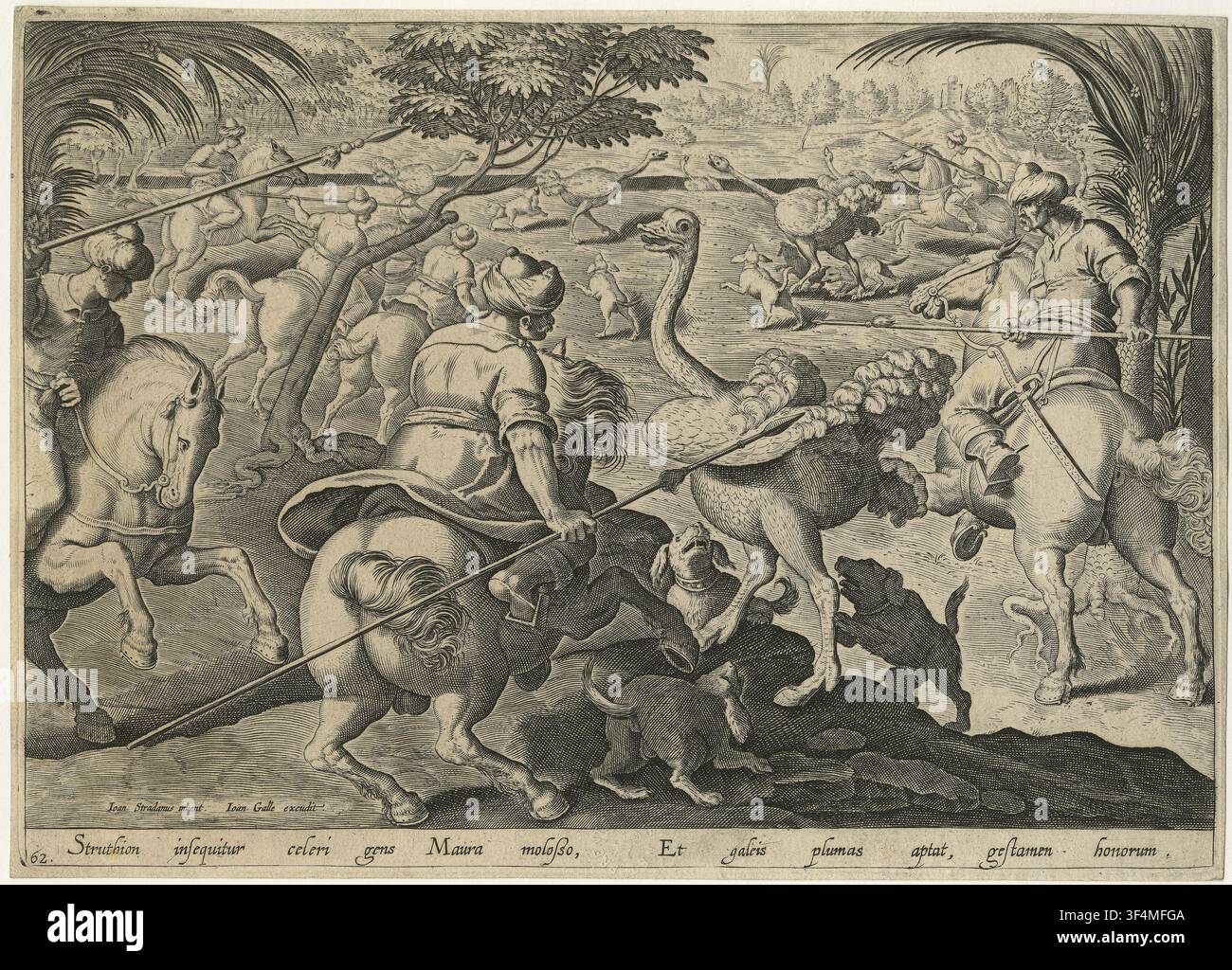 Un'incisione in rame del 1578 di Philips Galle, su disegno di Jan van der Straet, pubblicata da Joannes Galle, raffigurante una caccia alle struzzi con lance e cani, parte di una serie di 43 pezzi sulla caccia. Foto Stock