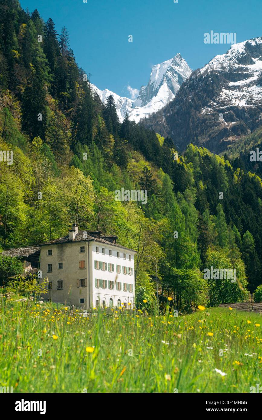 Casa alpina storica a Promontogno con la vetta del Piz Badile, valle di Bregaglia, Svizzera Foto Stock