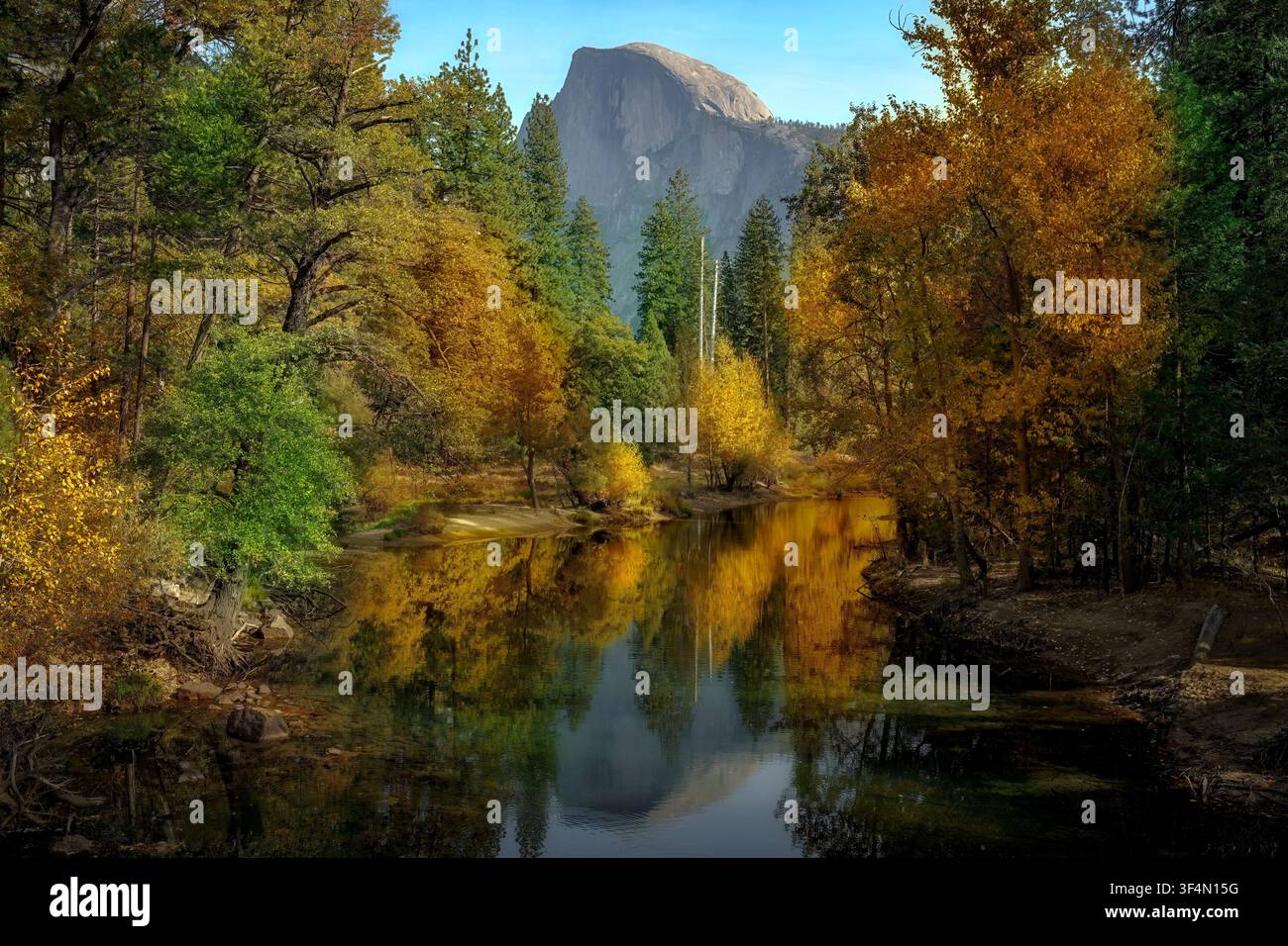 Half Dome si erge sopra il Merced River, le cui rive sono fiancheggiate da alberi che hanno assunto i brillanti colori dorati dell'autunno in un pomeriggio di novembre Foto Stock
