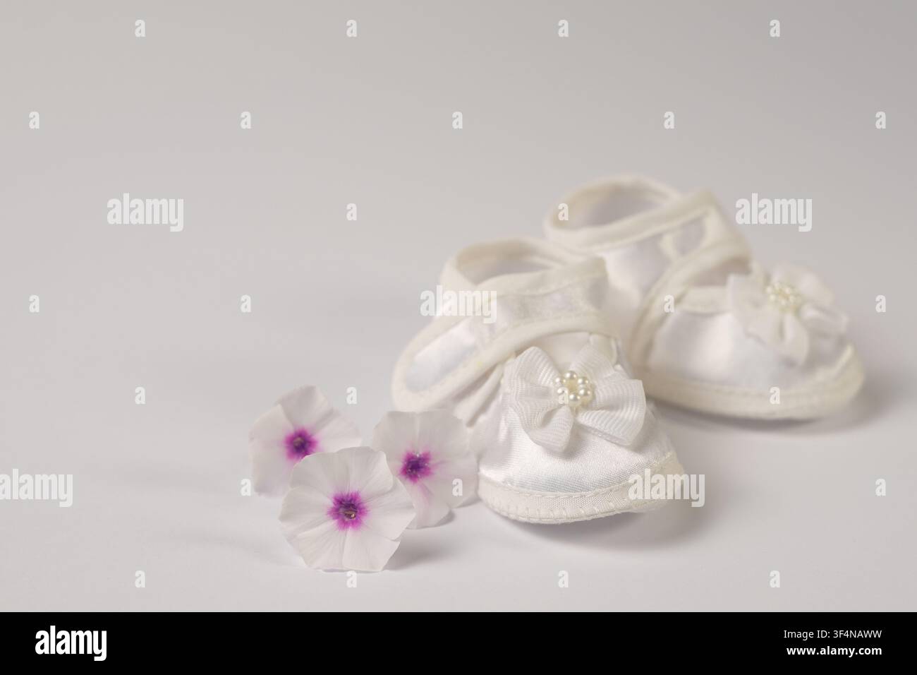 Scarpette da neonato bianche con fiori di phlox rosa su sfondo bianco, concetto di nuovo nato Foto Stock