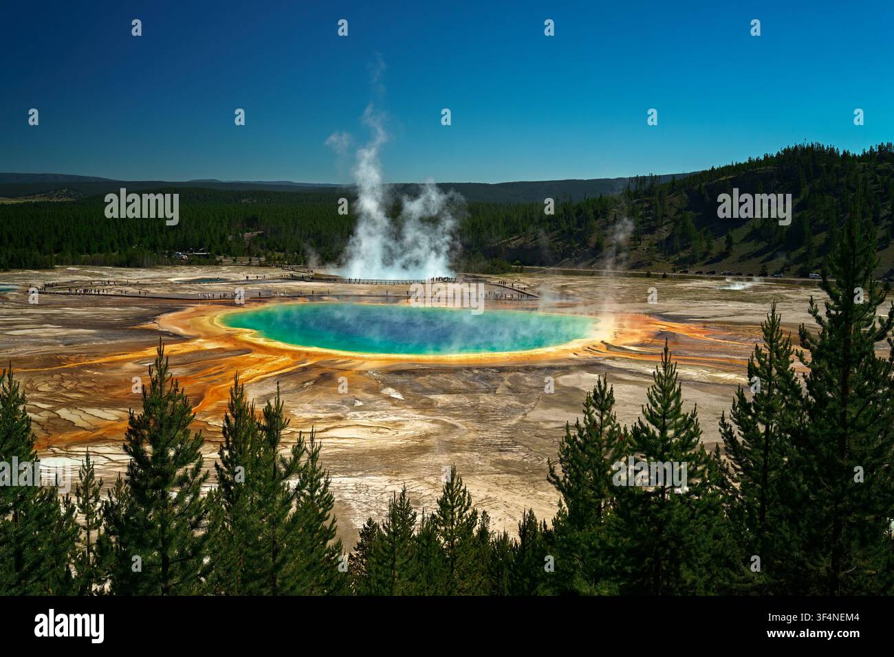 La Grande Sorgente Prismatica vista da un punto di osservazione sul Fairy Falls Trail nello Yellowstone National Park. Il cratere del geyser Excelsior emette vapore sullo sfondo Foto Stock