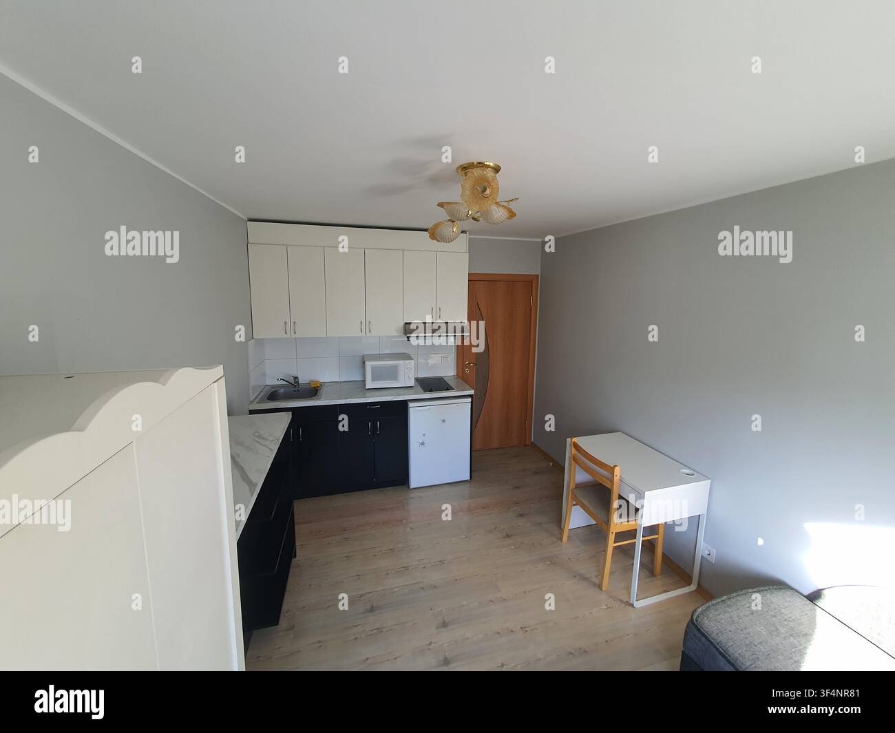 Un interno di appartamento studio compatto con angolo cottura e spazio abitativo combinati. La stanza ha pareti grigio chiaro e laminato di legno chiaro Foto Stock