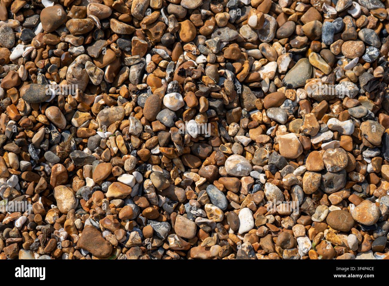 Vista dall'alto di ciottoli marini e piccole pietre su una trama di spiaggia. Foto Stock
