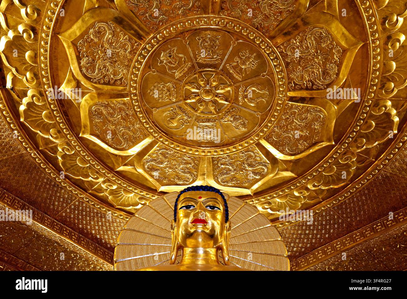 Pagoda di Bai Dinh. Interno di un tempio buddista con una statua dorata di Buddha. Il soffitto è decorato con motivi simbolici intricati, tra cui Foto Stock